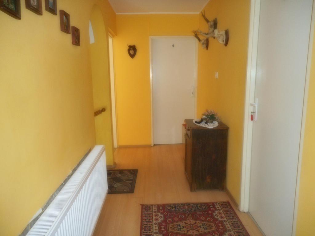 Przy Lesie Apartment Nowe Exterior foto
