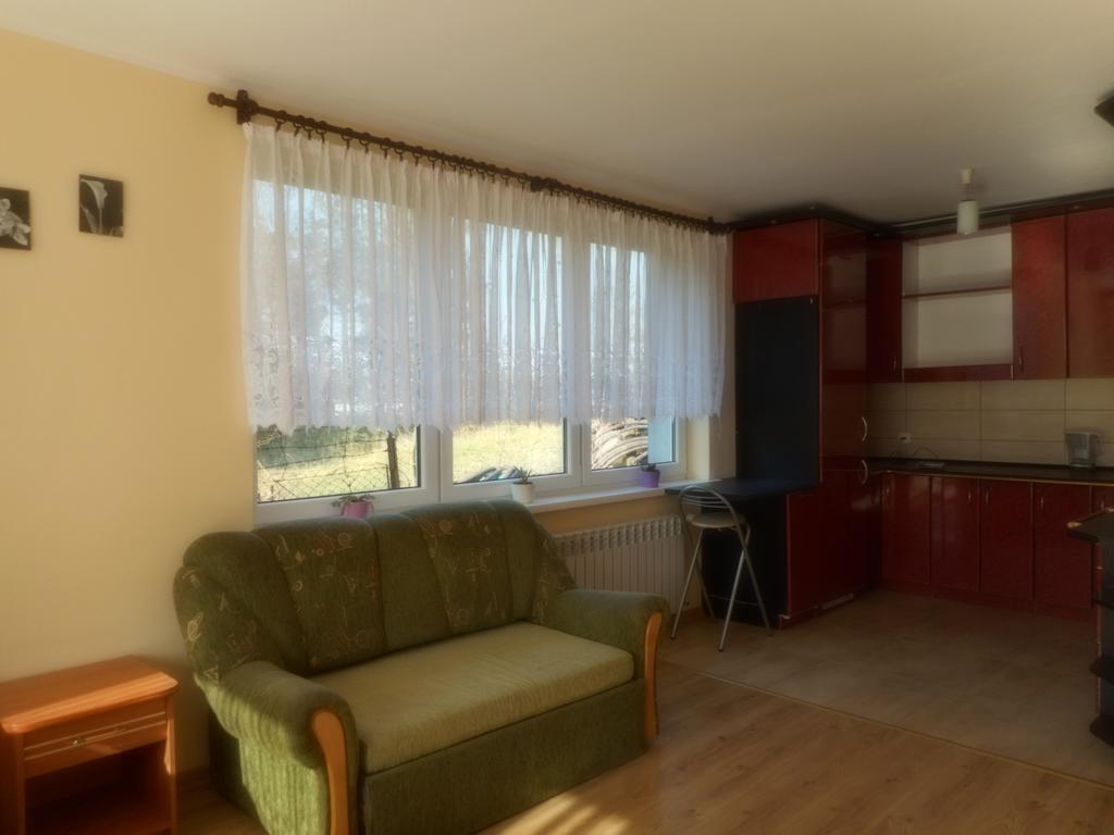 Przy Lesie Apartment Nowe Exterior foto